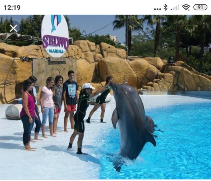 Benalmadena Minerva M&D 123 Lägenhet Exteriör bild